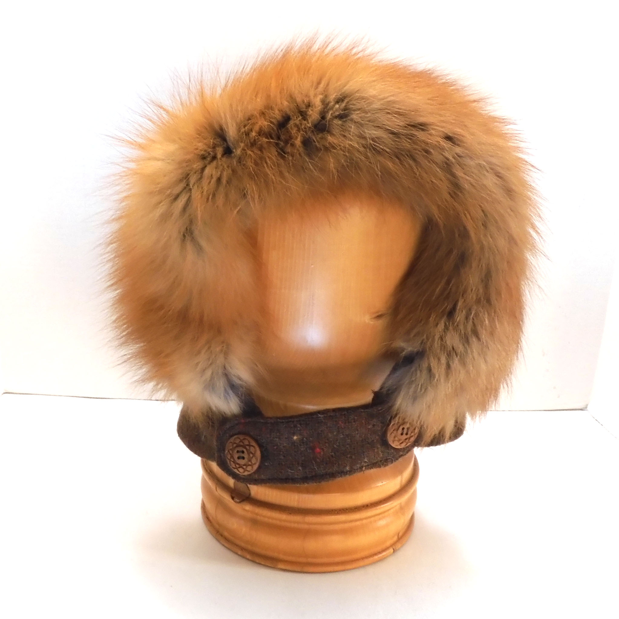 TagaqBrownFoxFront
